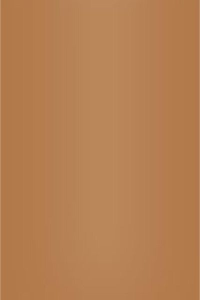 AMAZON TOHUM Deseli Kediligide Adhesive Coating Foil 45 cm X 1 Mt Elf037
