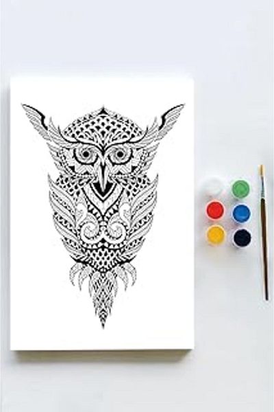 AMAZON TOHUM (21618) Owl Madala Canvas Painting Painting Hobby Set (50X70Cm)