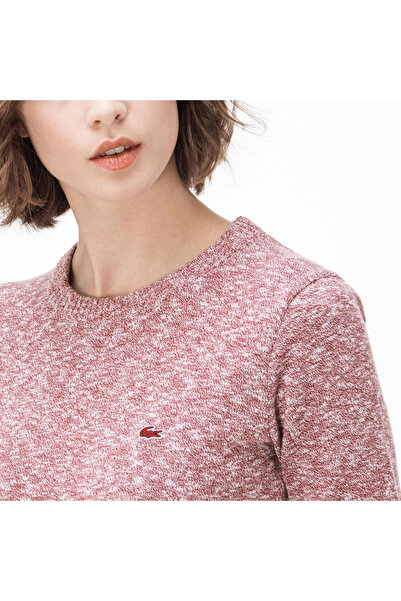 Lacoste Kadın Bordo - Beyaz Elbise