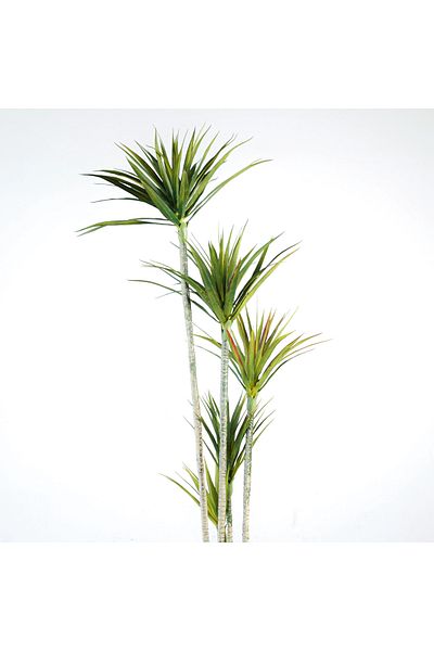Generic Artificial sykes tree
