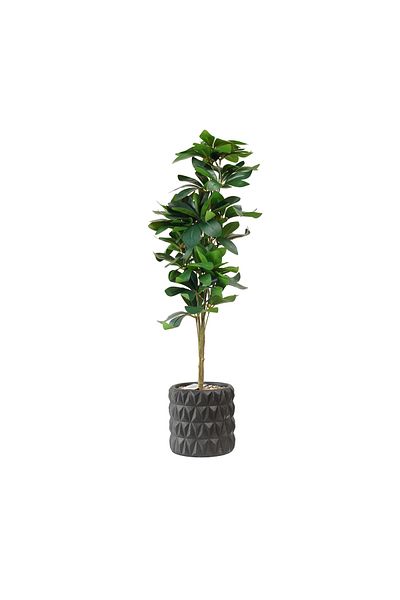 Generic Artificial Schefflera Tree 70 cm