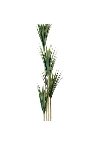 Generic 2m Artificial Yucca Tree