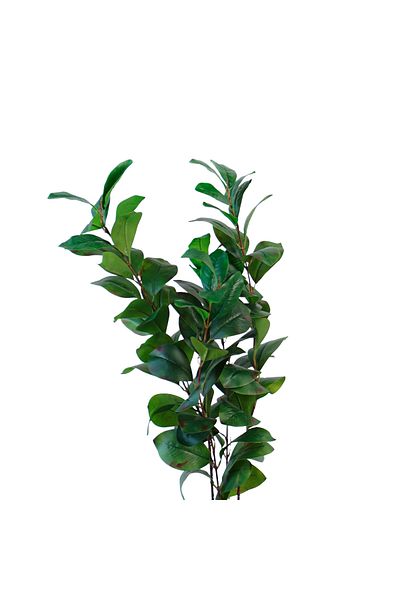 Generic 1m Artificial Green Leaf Tree