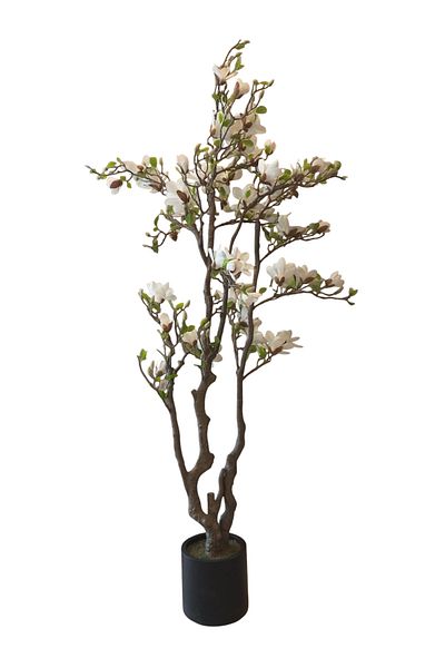 Generic 2.2m Artificial White Magnolia Tree