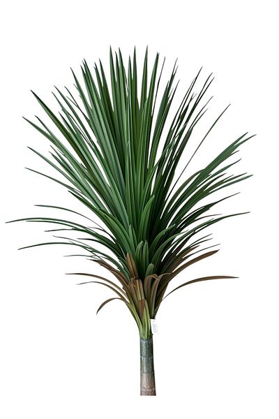 Generic Artificial Yucca Tree Single Branch 2.10m