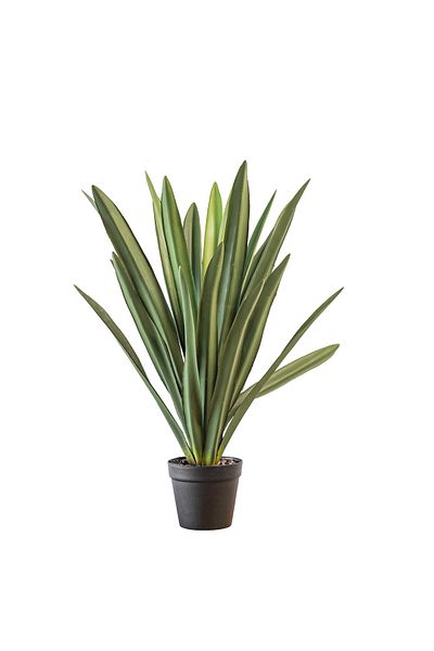 Generic 80cm artificial cactus tree