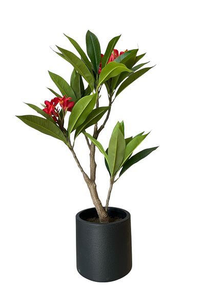 Generic 90cm Artificial Plumeria Tree