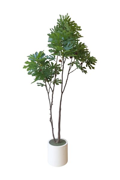 Generic Artificial fig tree, 1.80 m high