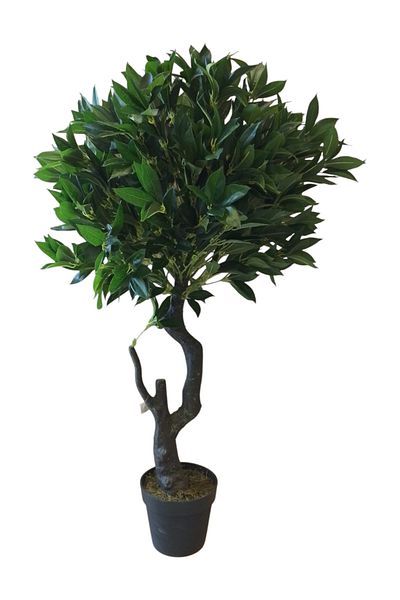 Generic Artificial bay leaf tree 1.20m