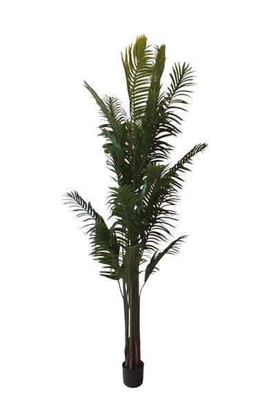 Generic Kwai Palm Tree 2.5m - Artificial Palm Tree