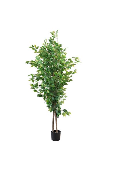 Generic 1.6m artificial ficus tree