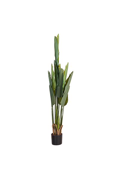 Generic 1.6m Artificial Australian Banana Tree