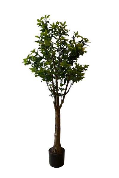 Generic Ficus tree artificial plant 2.1m tall