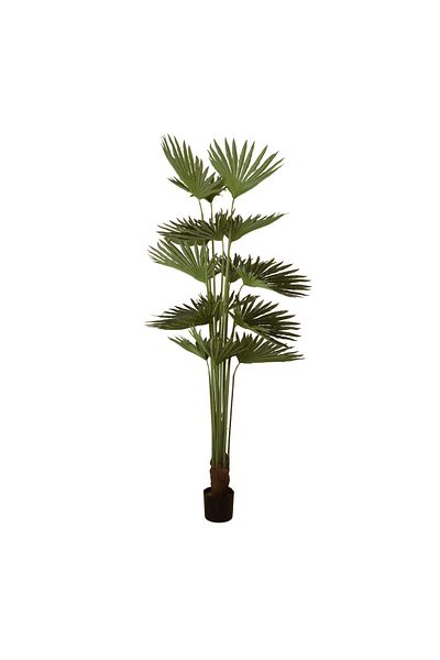 Generic Palm tree artificial fan 2m