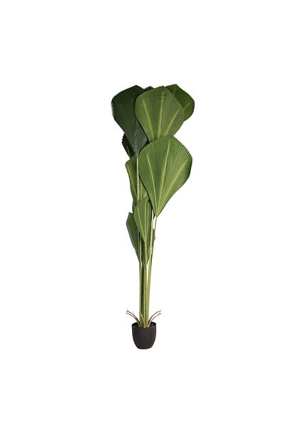 Generic 2.1m tall artificial palm tree
