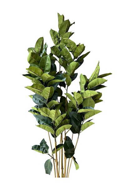 Generic 1.8m Artificial Green Rubber Tree