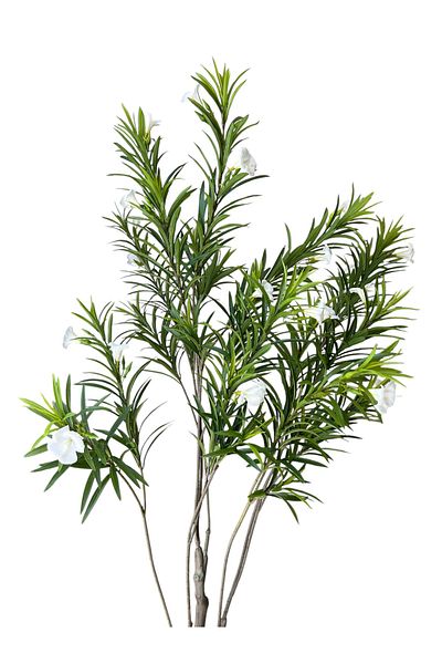 Generic شجر روليا سكري صناعية الأرتفاع 1.90م عرض المركن 26cm