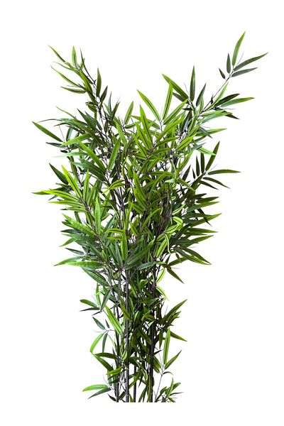 Generic 1.9m artificial bamboo tree