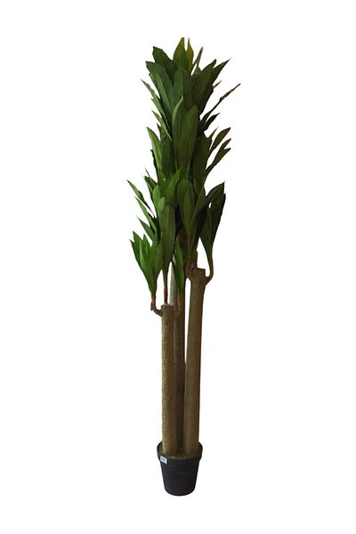 Generic Dracaena Artificial Plant 2.2m