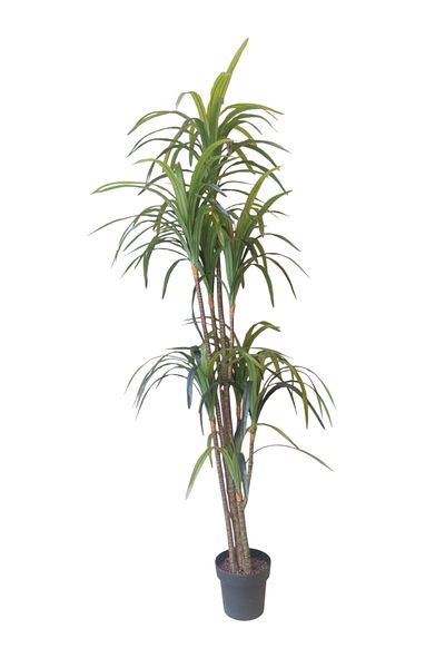 Generic 8-branch artificial yucca tree, 2 meters