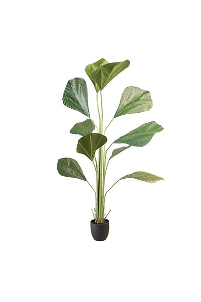 Generic 1.8m tall artificial palm tree