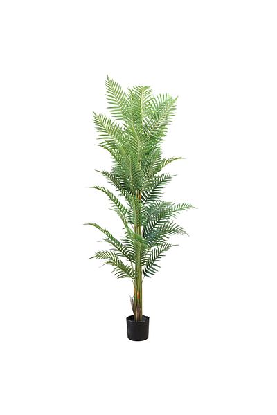 Generic 1.8m Artificial Kwai Palm Tree