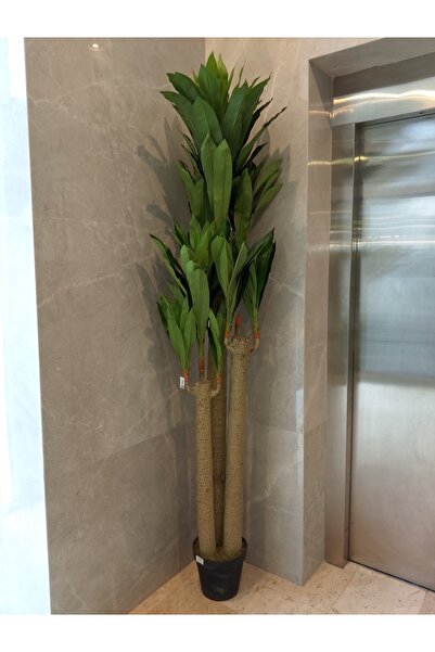 Generic Dracaena Artificial Plant 2.2m