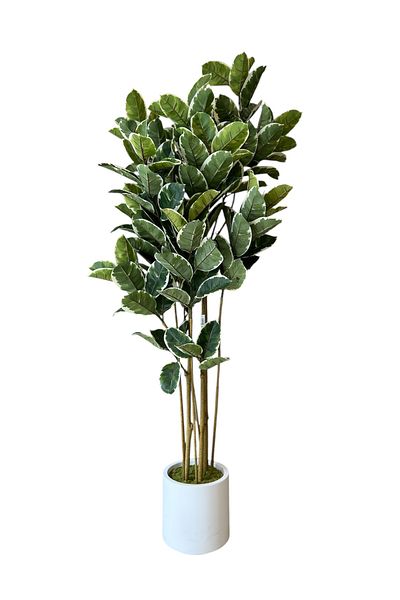 Generic Artificial tree, green rubber tree decoration, 1.8m long