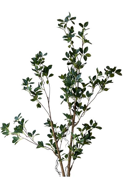 Generic 1.3m Artificial Small Ficus Tree
