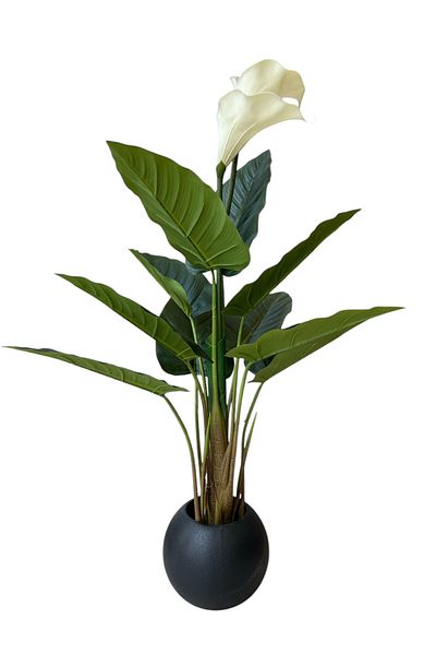 Generic 1.5m Artificial White Grass Tree