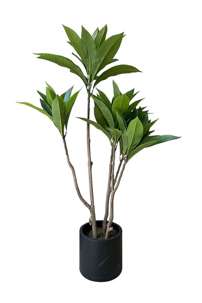Generic 1.2m tall artificial frangipane tree