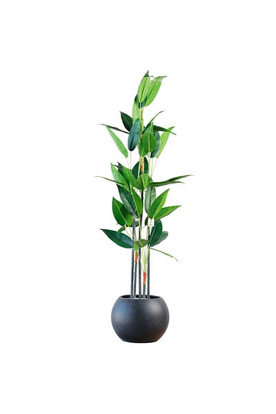 Generic 1.6m Artificial Bird of Paradise Tree