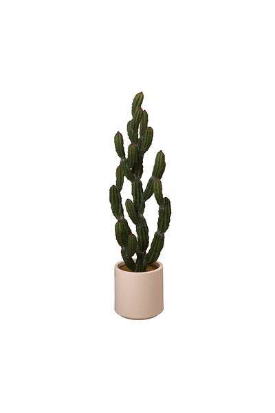 Generic Artificial Cactus Tree 98 cm
