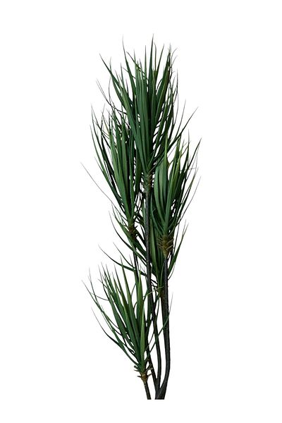 Generic Artificial Yucca Tree 5F 1.7m