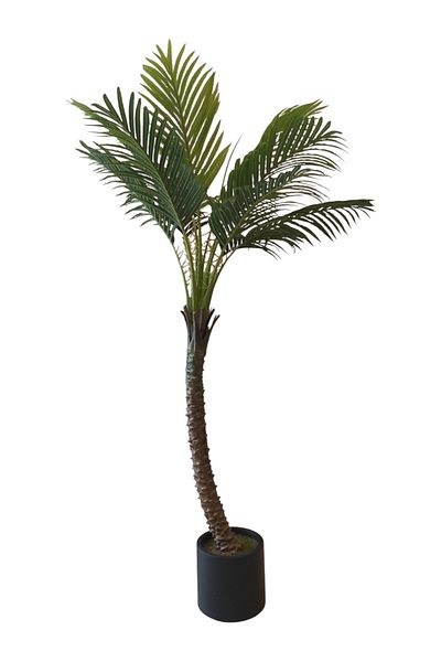 Generic 1.5m artificial palm tree
