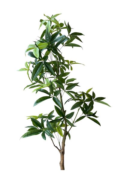 Generic 1.45m Fortune Artificial Tree
