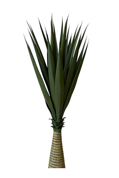 Generic Artificial sisal tree, 1m high