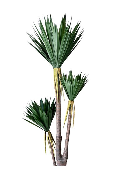 Generic Artificial Yucca Tree 3 Branches 2m