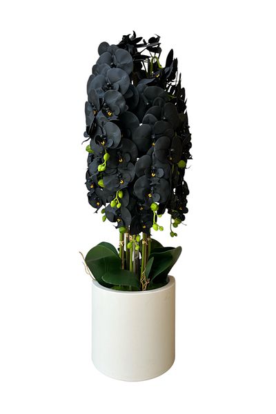 Generic Artificial black orchid