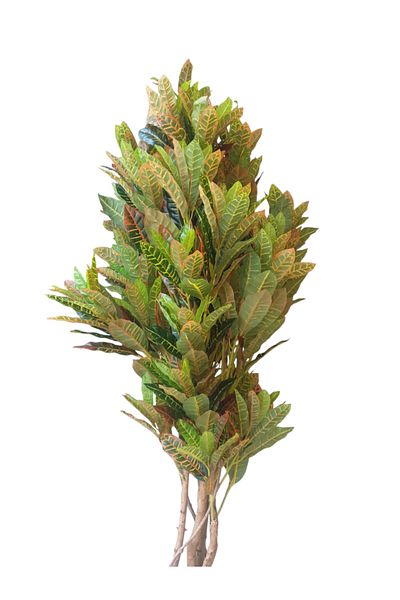 Generic Artificial Striped Paper Tree 1.70m