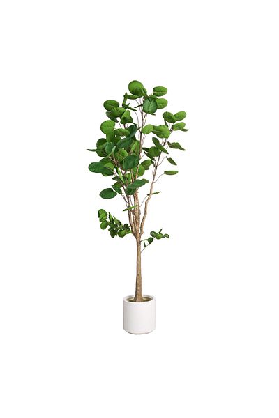 Generic 1.5m Artificial Polis Tree