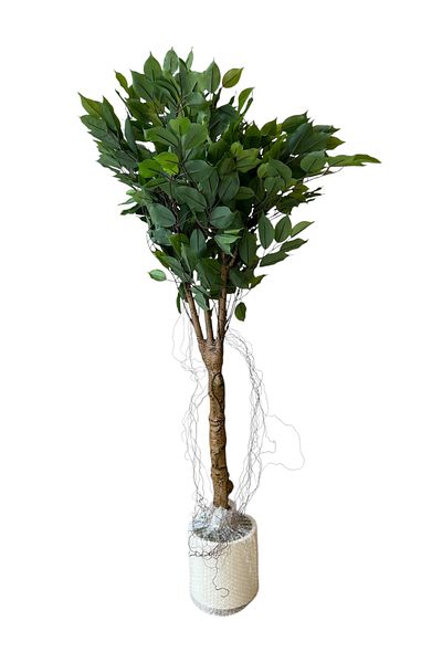 Generic 1.2m Artificial Small Ficus Tree