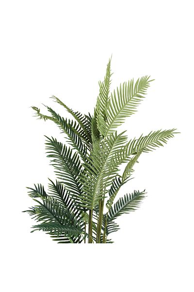 Generic Artificial Kwai Palm Tree 1.9m