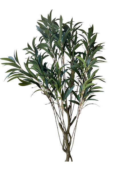 Generic 2m artificial dracaena tree