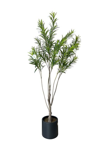 Generic شجر روليا سكري صناعية الأرتفاع 1.90م عرض المركن 26cm