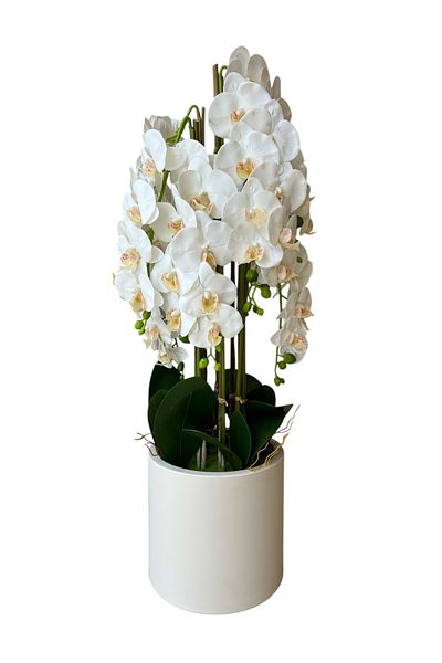 Generic artificial white orchid