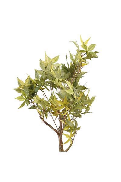 Generic Artificial Green Maple Tree 78cm