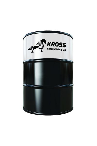 KROSS Exeo 5W30 C4-Rn - 208L