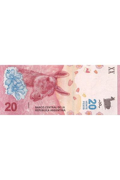 Benim Koleksiyonum Argentina, 20 Peso (2017) Unc Old Foreign Paper Money