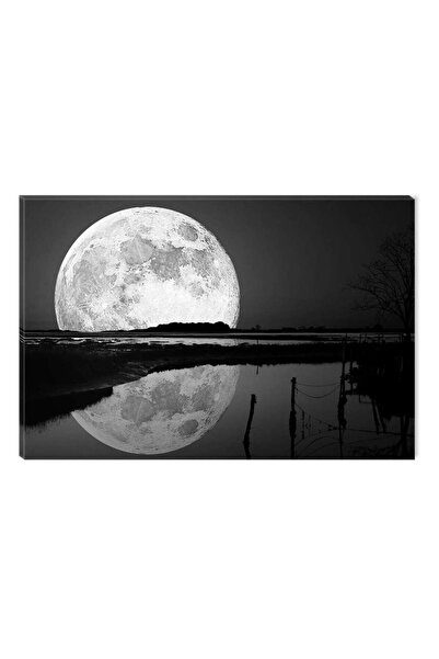 startonight Tablou Alb-Negru Abstract Startonight, Reflexia Lunii, 60 x 90 cm